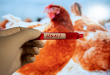  الإبلاغ عن أول حالة إصابة بشرية بإنفلونزا الطيور بدون التعرض لحيوان مريض في الولايات المتحدة