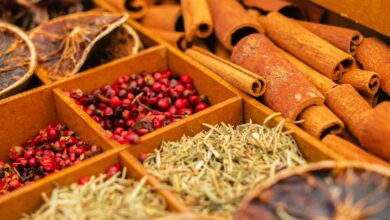 أمراض المناعة الذاتية وتكسير كريات الدم فهمها ودور الأعشاب الداعمة